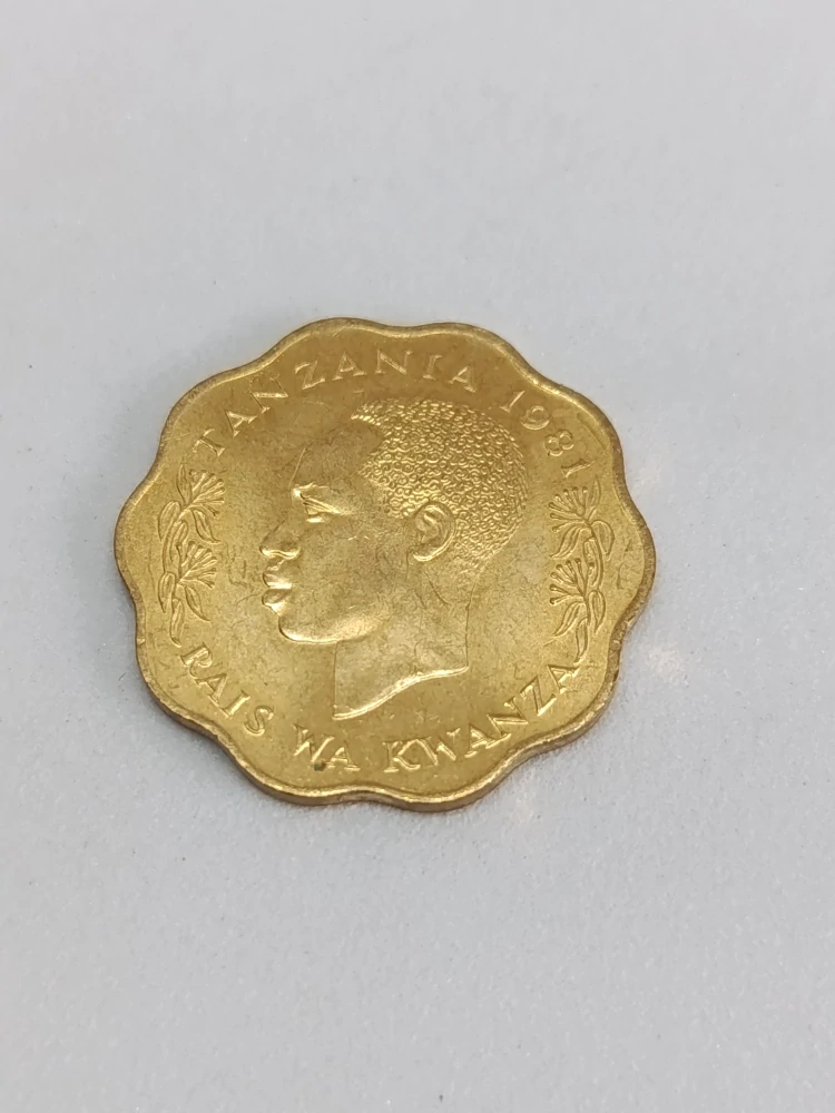 Tanzanie 10 senti, 1981